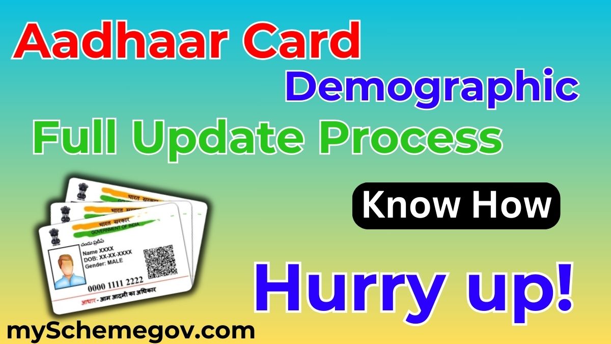 Aadhar Demographic Update Process